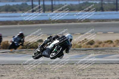 media/Nov-16-2025-Race Pace (Sun) [[8c5fa54630]]/Verified Riders/3-Turn 14 (1045am)/